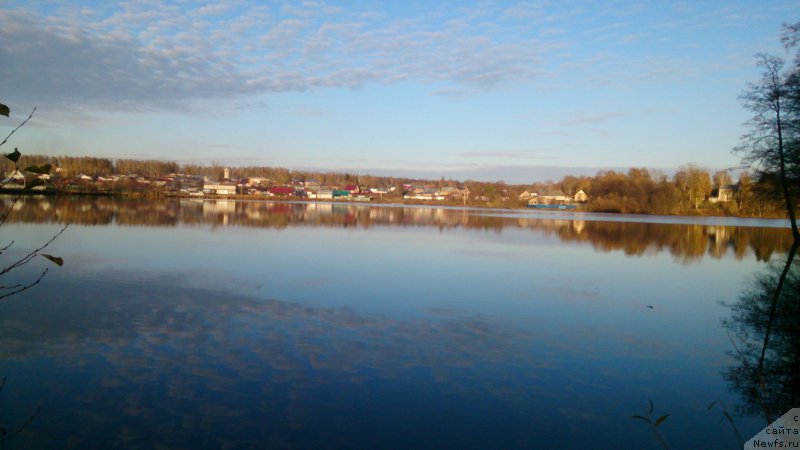 Фотография № 194440