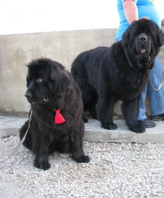 Фотография № 19446