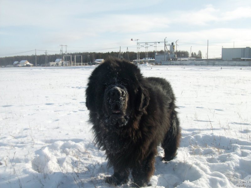 Фотография № 194468