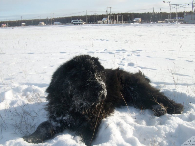 Фотография № 194470