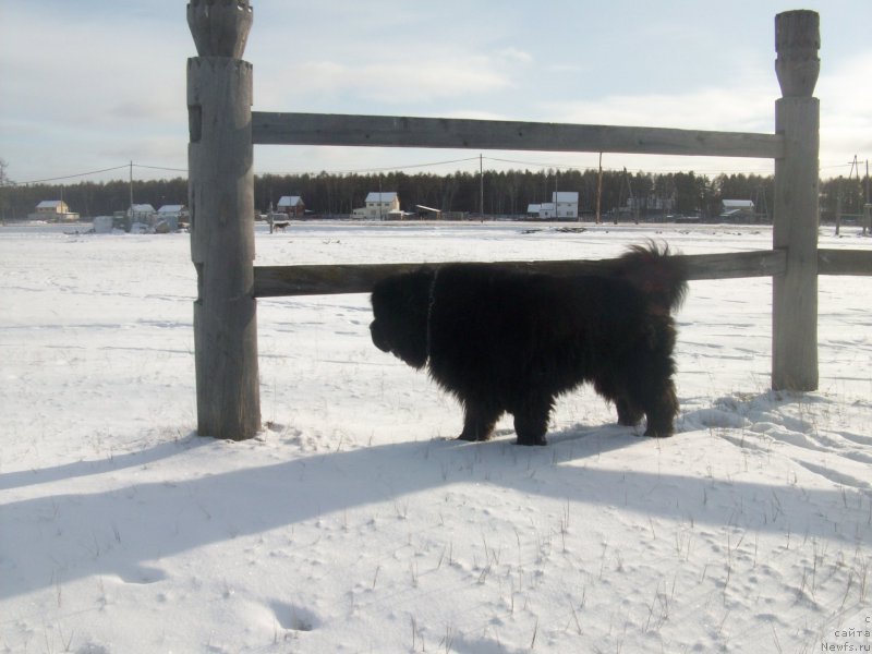 Фотография № 194472