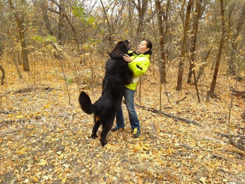 Фотография № 194543