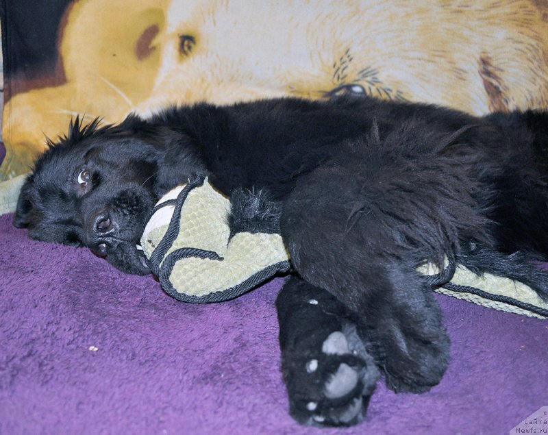 Фотография № 194545