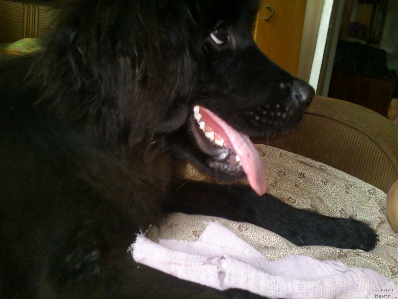 Фото: Irina Kondakova (Ирина Кондакова)