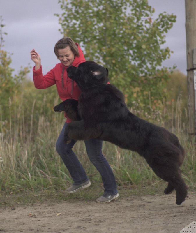 Фотография № 194554