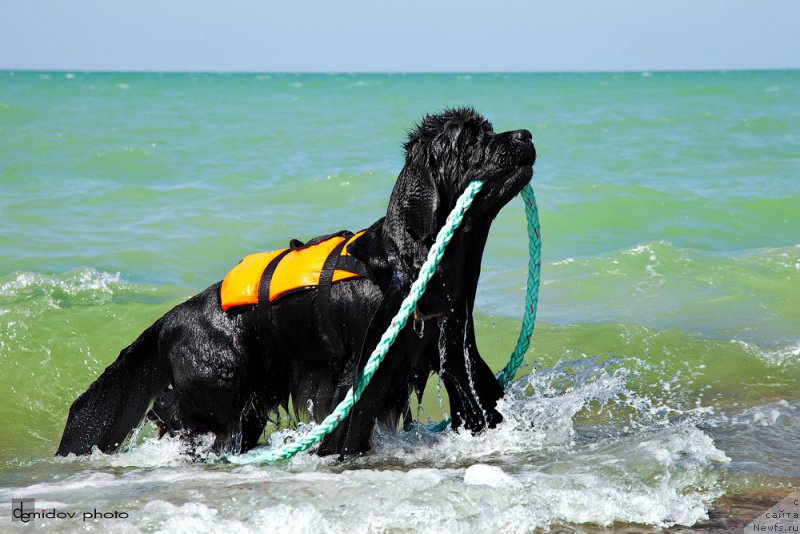 Фотография № 194557