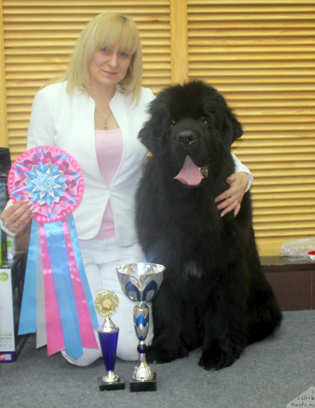 Фотография № 194596