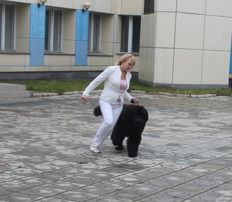 Фотография № 194597