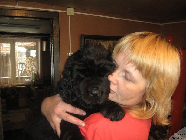 Фотография № 194613