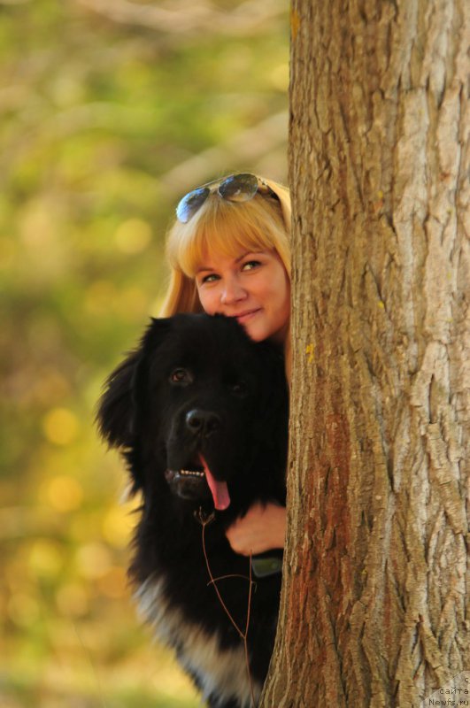 Фото: ньюфаундленд Lyuk Skayvoker (Люк Скайвокер), и Наташа