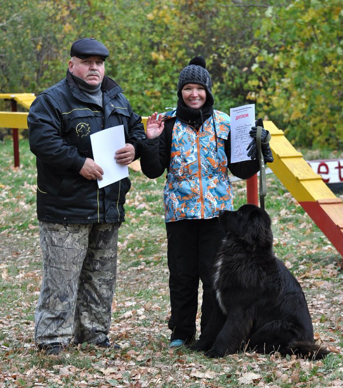 Фото: ньюфаундленд Li San (Ли Сан)