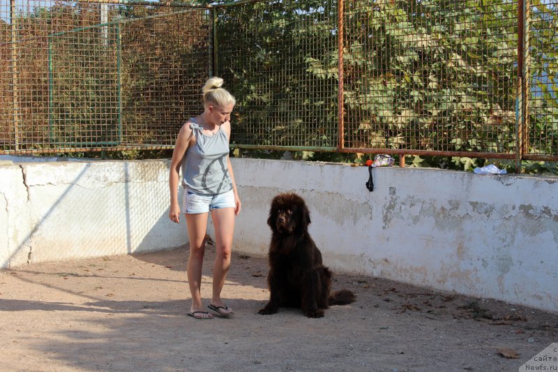 Фото: Anastasiya Kiseleva (Анастасия Киселева)