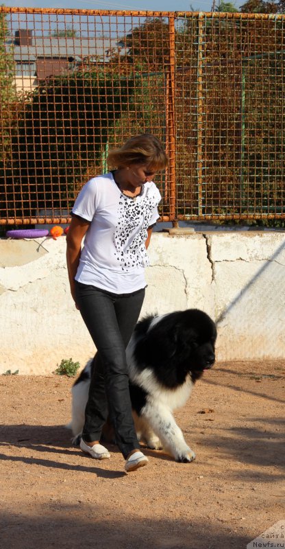 Фотография № 194647