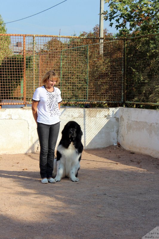 Фотография № 194649