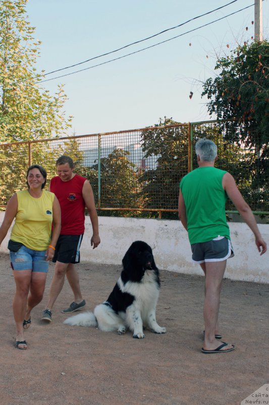 Фотография № 194654