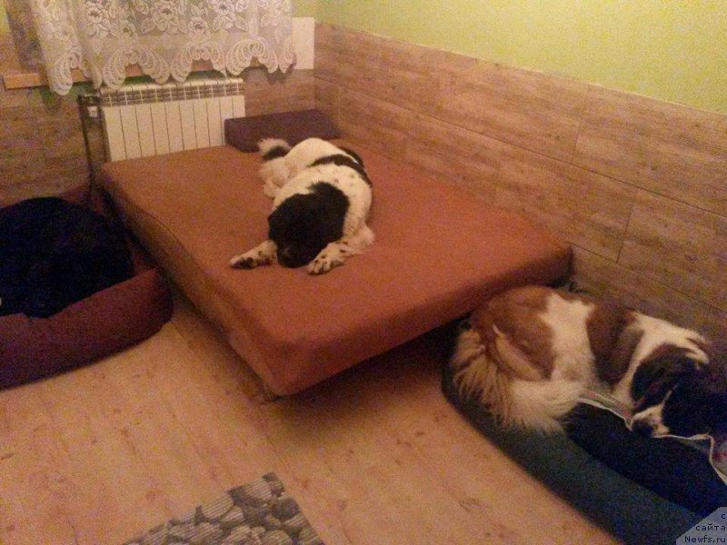 Фотография № 194665