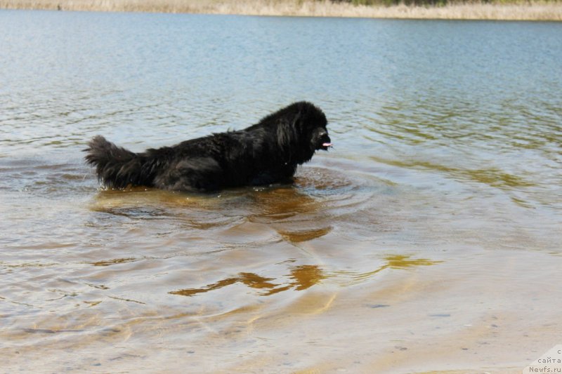 Фотография № 194667