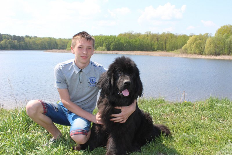 Фотография № 194668