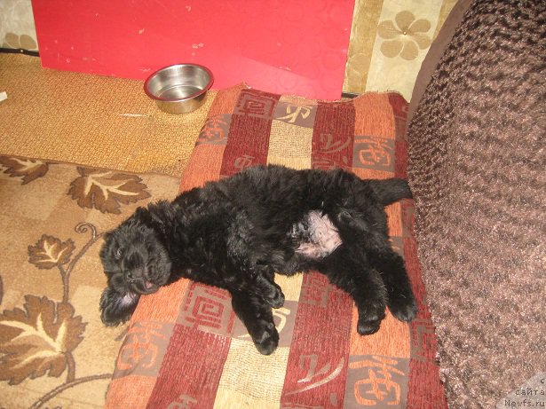 Фотография № 194675