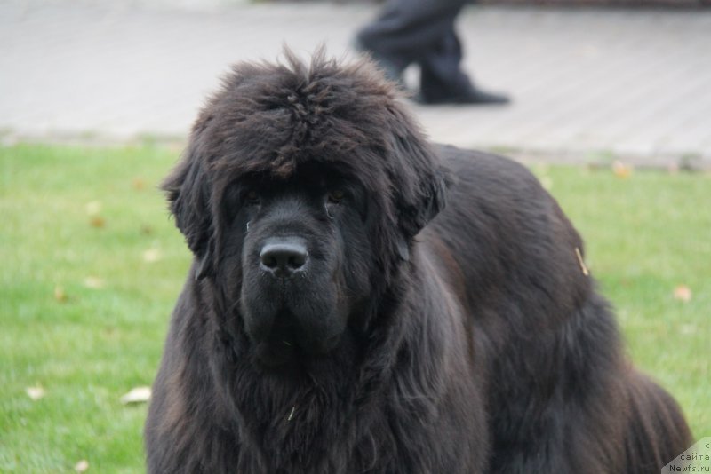 Фотография № 194705