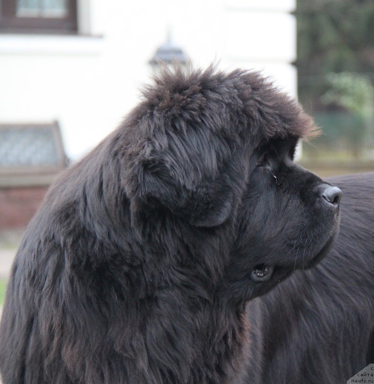 Фотография № 194706