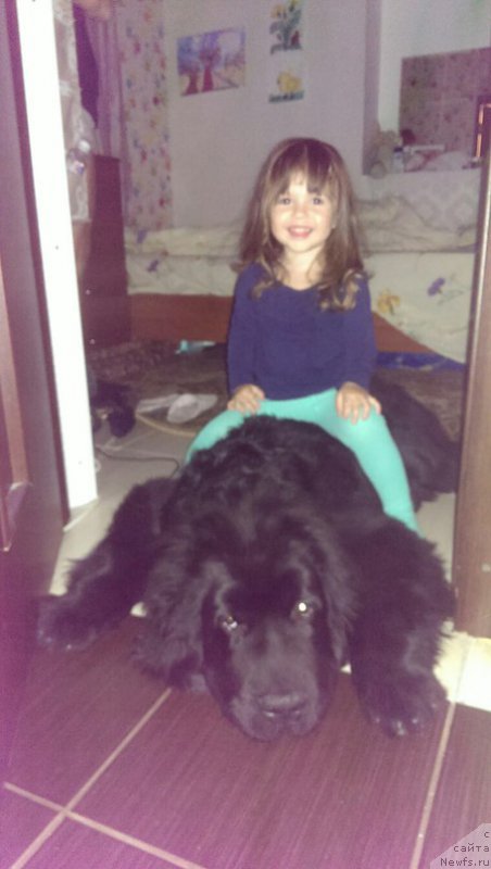 Фото: Tat'yana Tulenkova (Татьяна Туленкова)