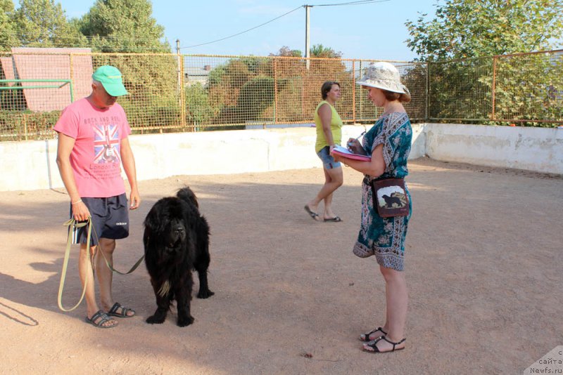 Фотография № 194751