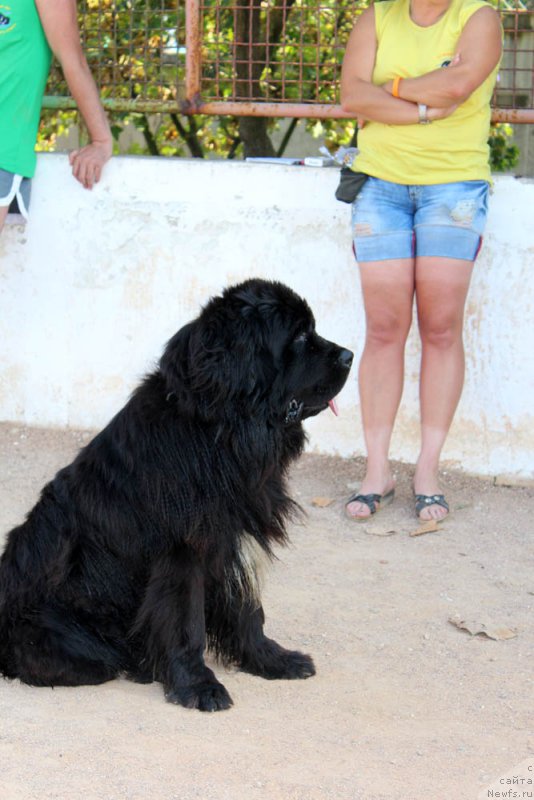 Фотография № 194752