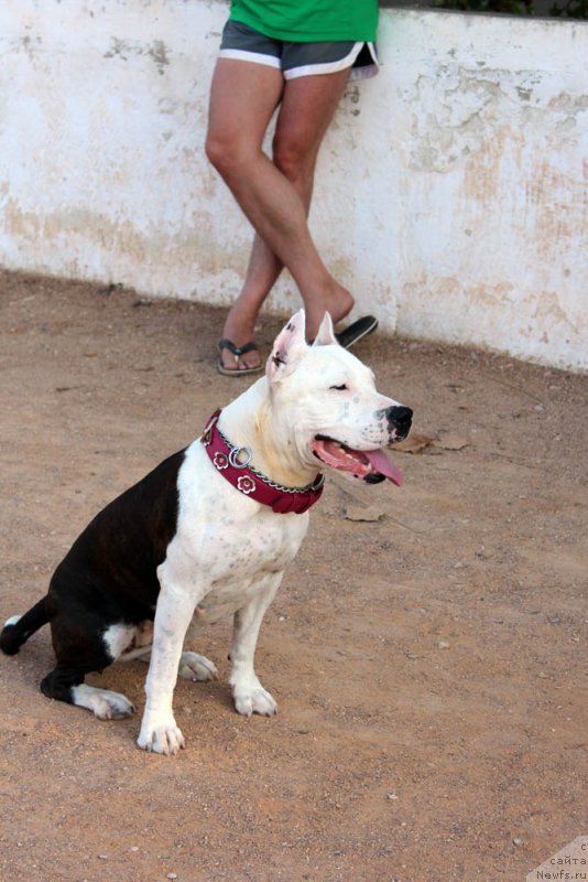 Фотография № 194764