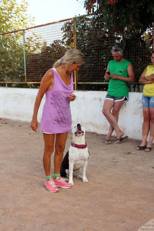 Фотография № 194765