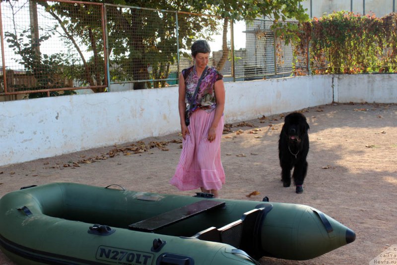 Фотография № 194768