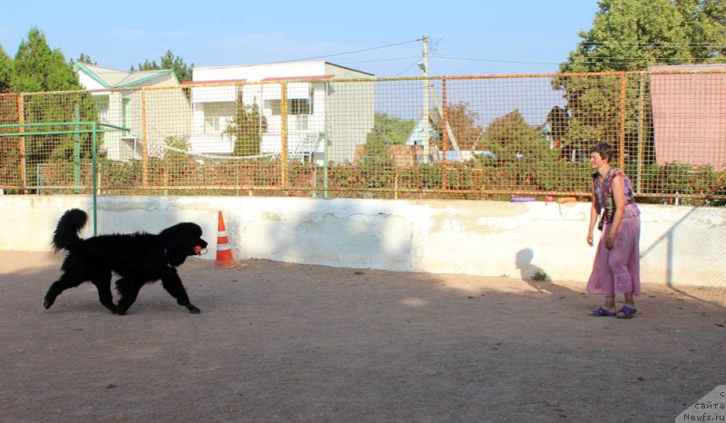 Фотография № 194769