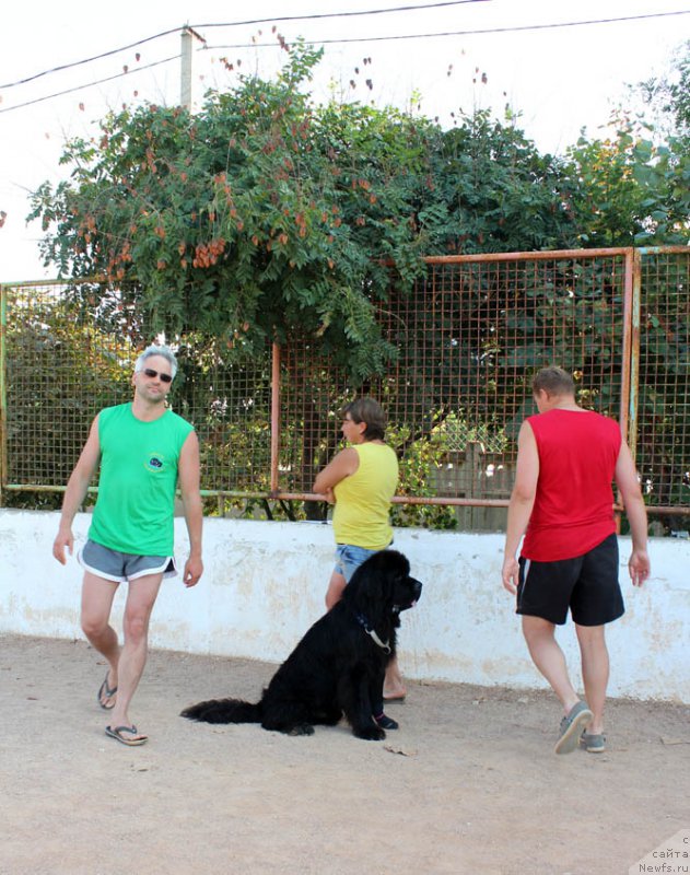 Фотография № 194770