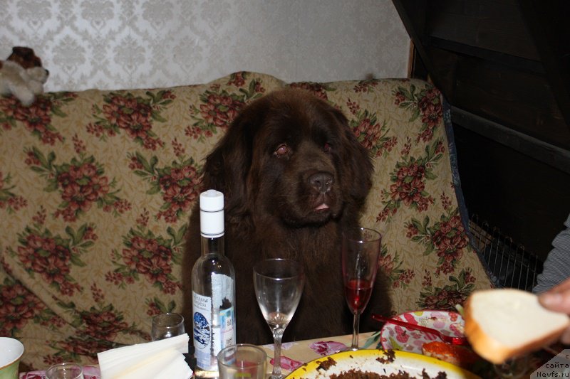 Фотография № 194785