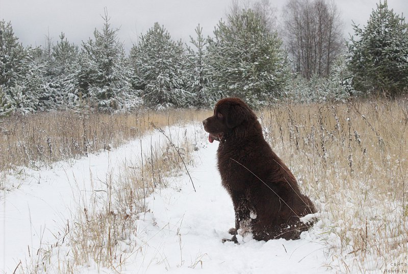 Фотография № 194792