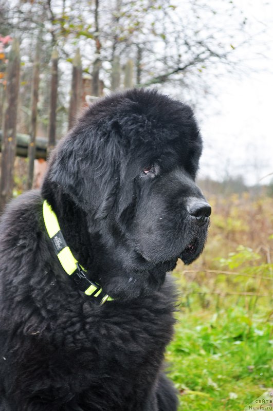 Фотография № 194798