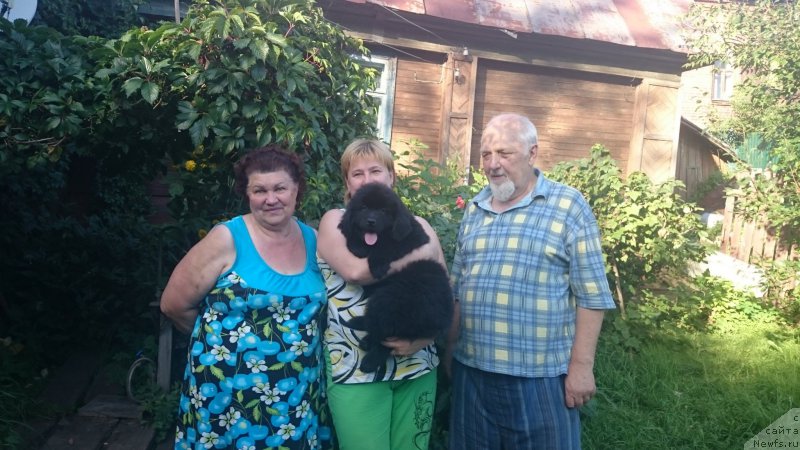 Фотография № 194823