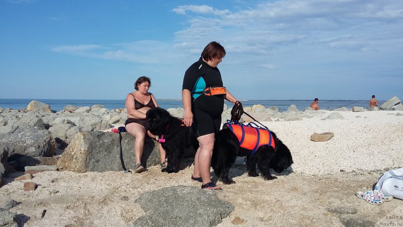 Фотография № 194840