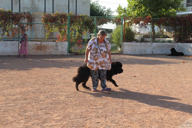 Фотография № 194854