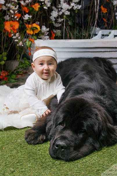 Фотография № 194855