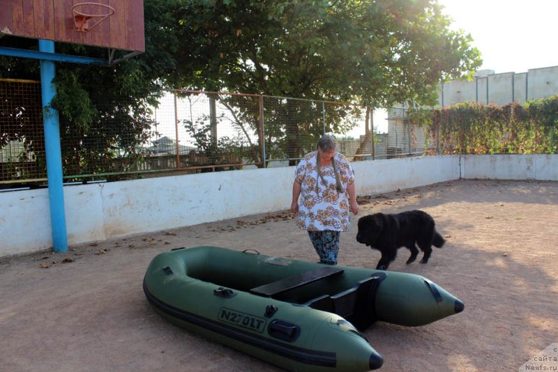 Фотография № 194857