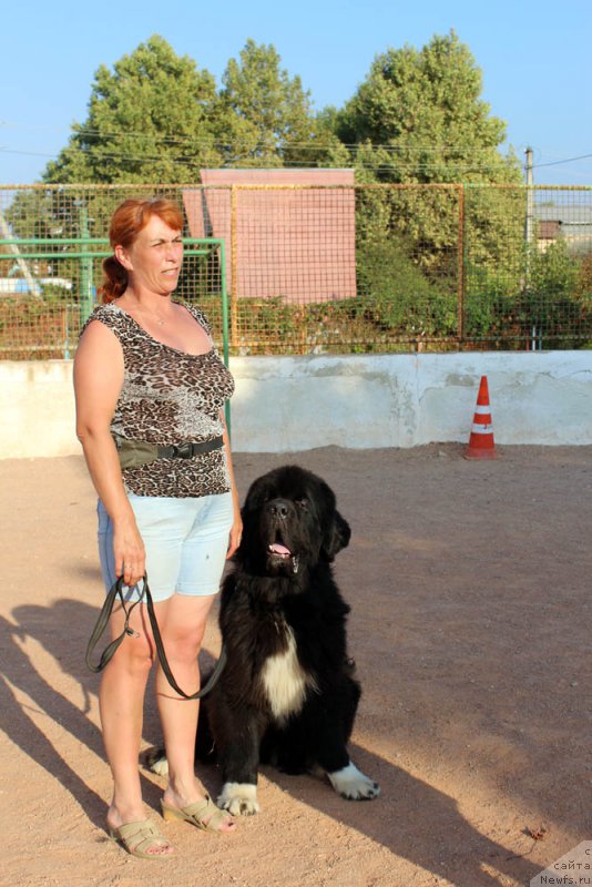 Фотография № 194859