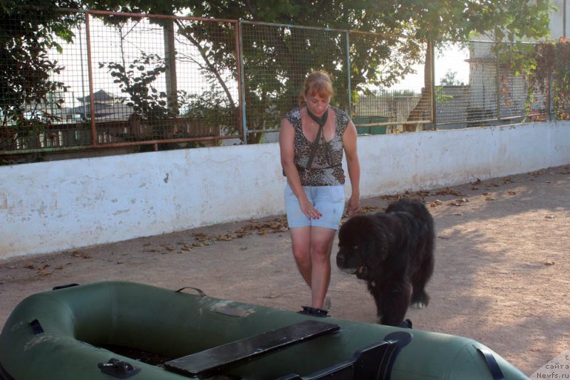 Фотография № 194862