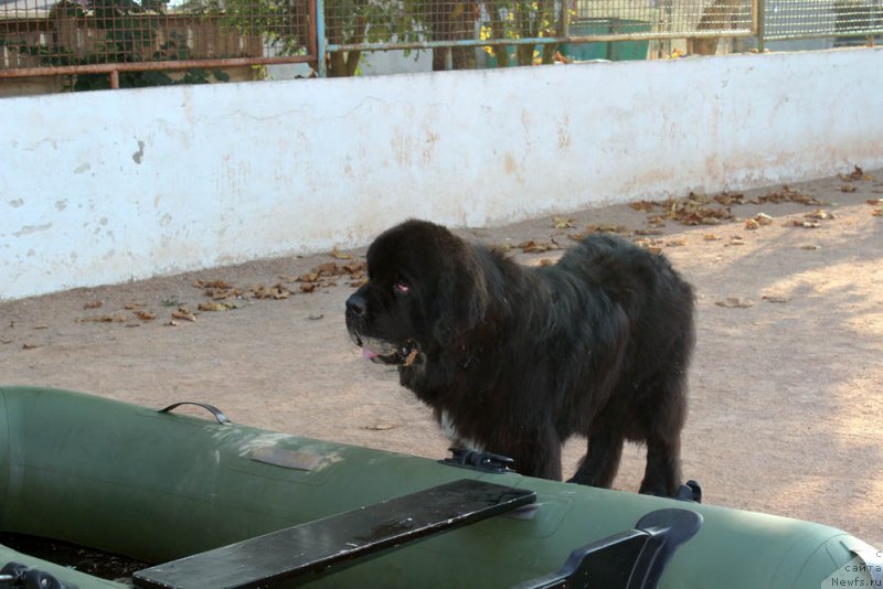 Фотография № 194863