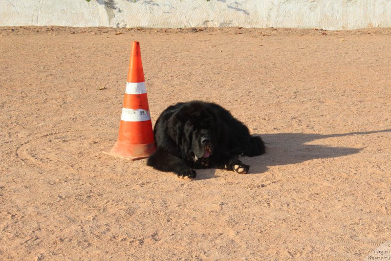 Фотография № 194868