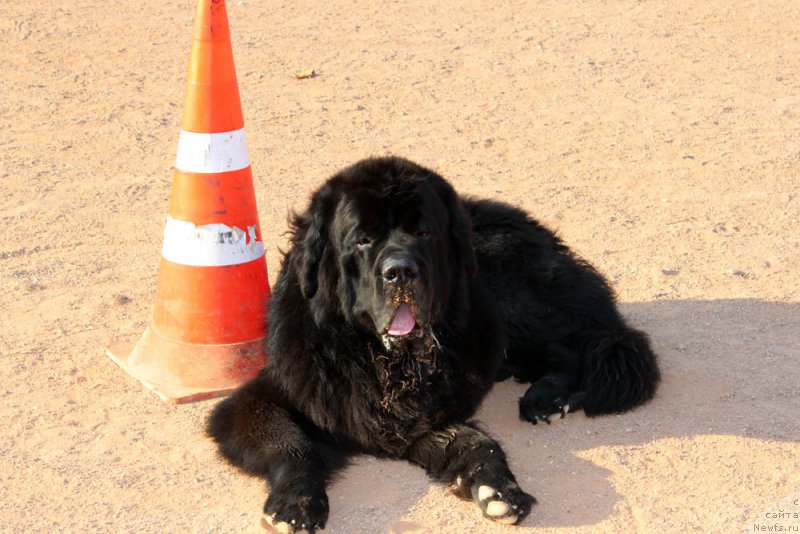 Фотография № 194869