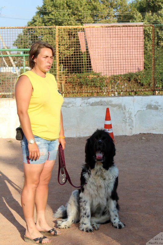 Фотография № 194870