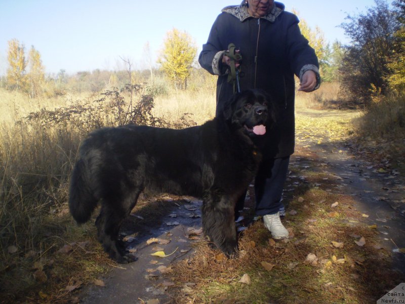 Фото: Igor' Grechishkin (Игорь Гречишкин)