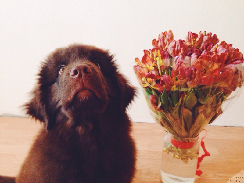 Фотография № 194941