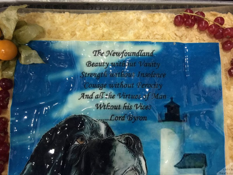 Фотография № 194949